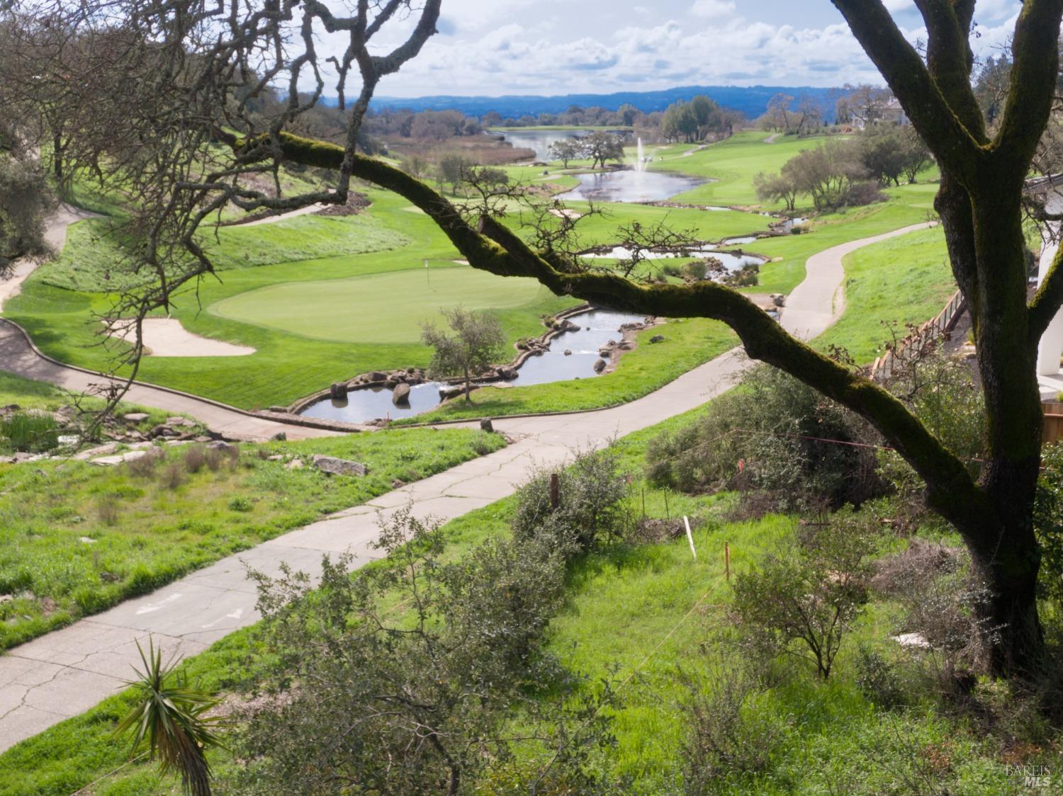 3703 Llyn Glaslyn Place Santa Rosa CA 95403