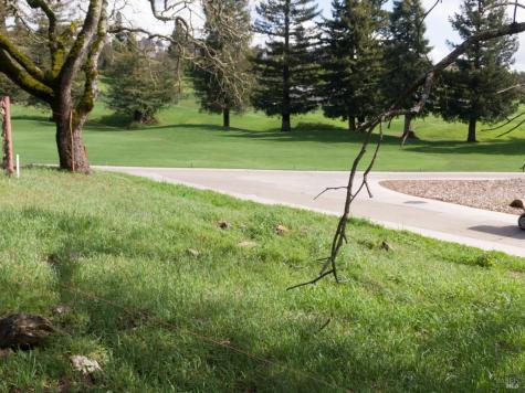 3703 Llyn Glaslyn Place Santa Rosa CA 95403