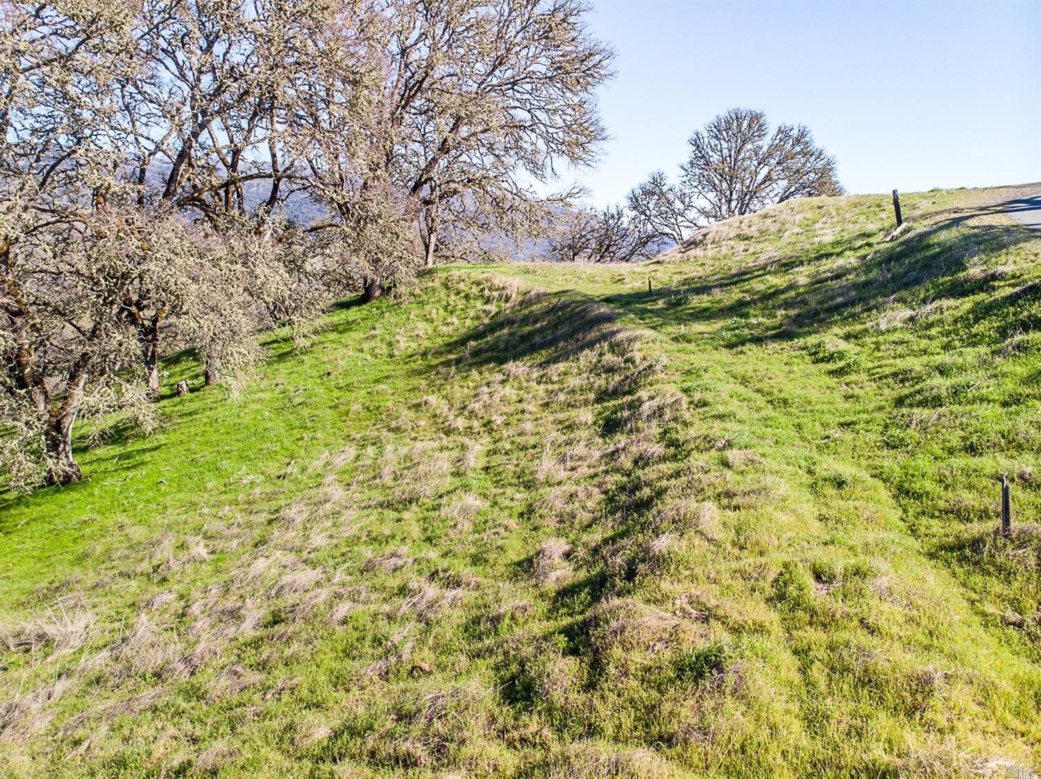 721 Sanel Drive Ukiah CA 95482