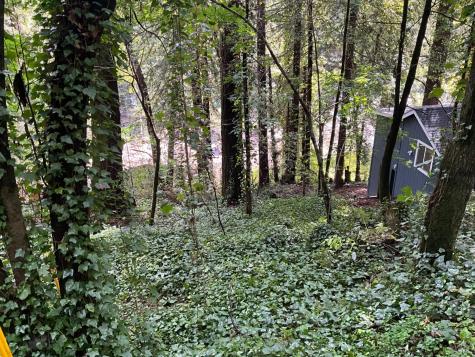 14712 Eagle Nest Lane Guerneville CA 95446