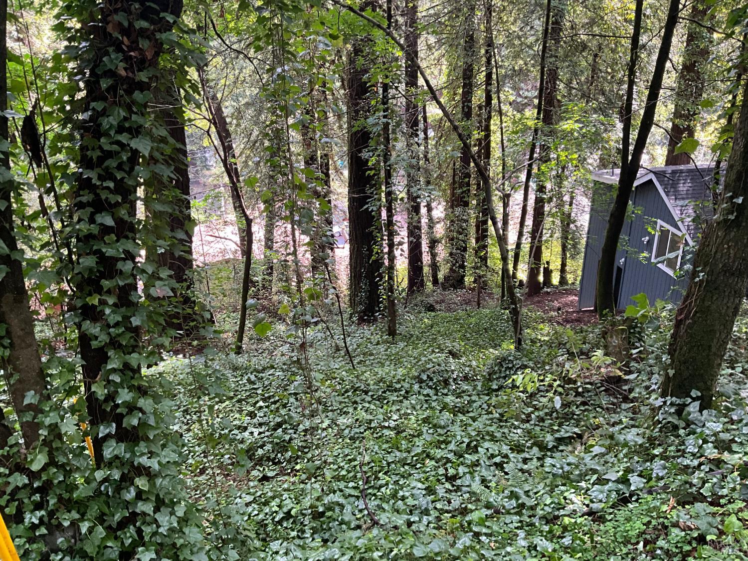 14712 Eagle Nest Lane Guerneville CA 95446