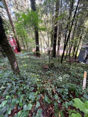 14712 Eagle Nest Lane Guerneville CA 95446