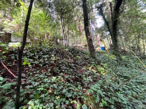 14712 Eagle Nest Lane Guerneville CA 95446