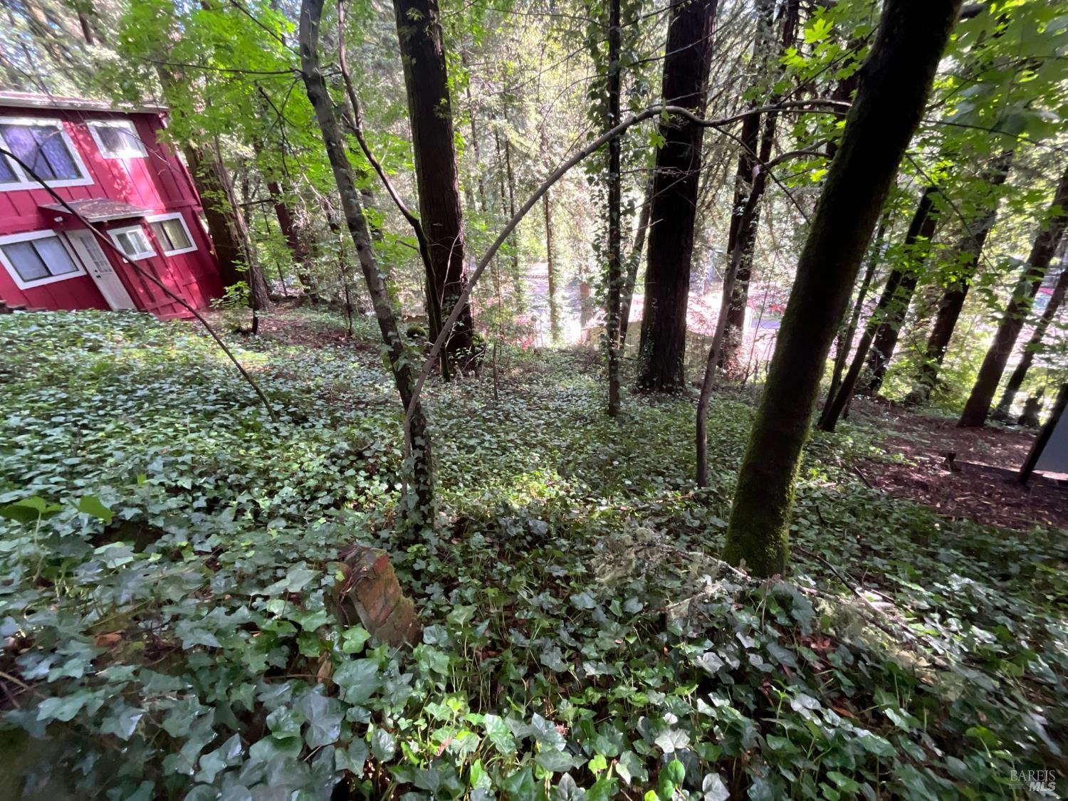 14712 Eagle Nest Lane Guerneville CA 95446