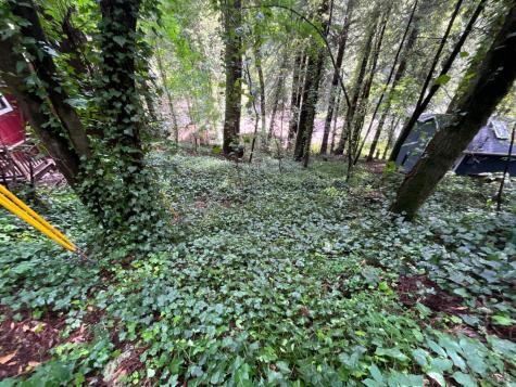 14712 Eagle Nest Lane Guerneville CA 95446