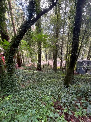14712 Eagle Nest Lane Guerneville CA 95446