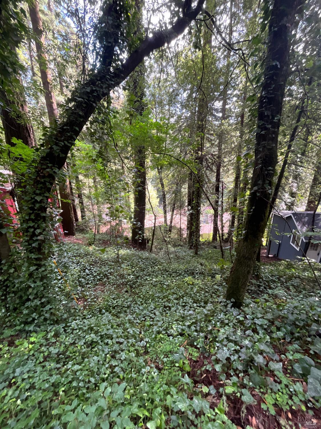 14712 Eagle Nest Lane Guerneville CA 95446