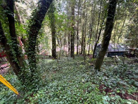 14712 Eagle Nest Lane Guerneville CA 95446