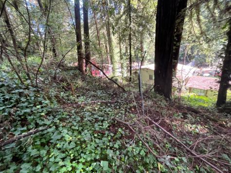 14712 Eagle Nest Lane Guerneville CA 95446
