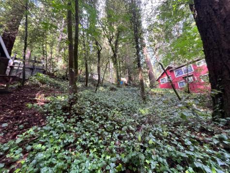 14712 Eagle Nest Lane Guerneville CA 95446