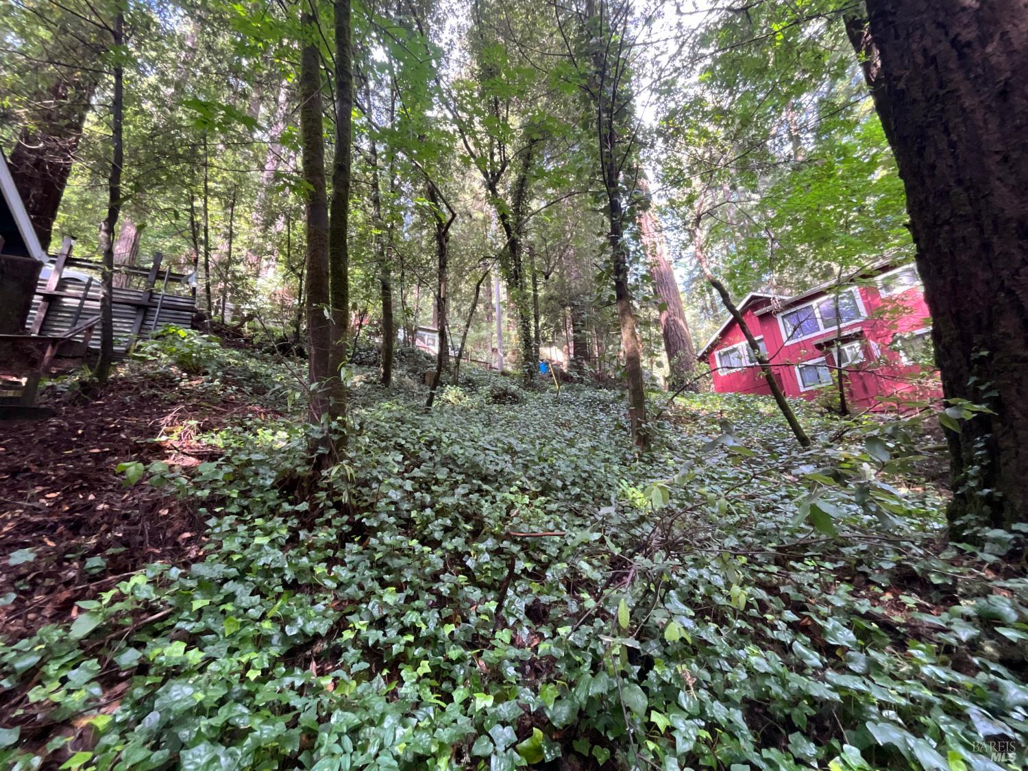 14712 Eagle Nest Lane Guerneville CA 95446