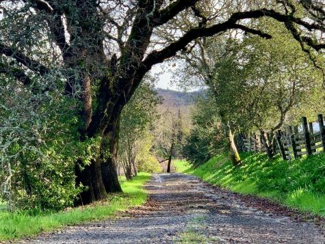 9685 Chalk Hill Road Healdsburg CA 95448