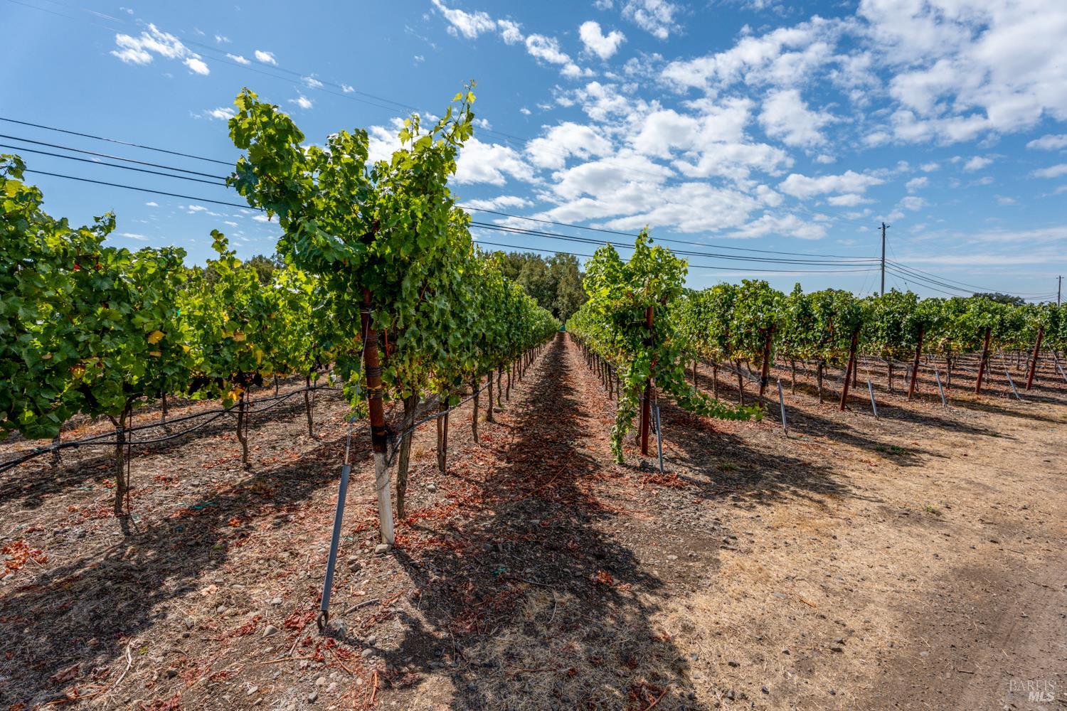 3340 Lichau Road Penngrove CA 94951