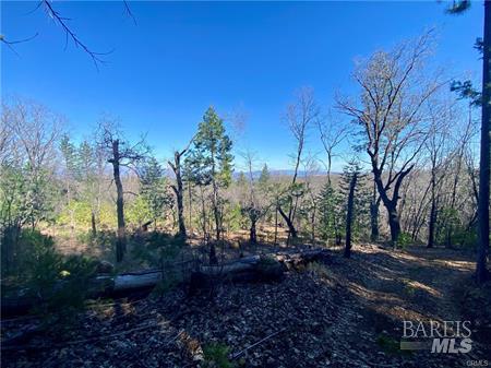 10130 Seigler Springs North N Kelseyville CA 95451