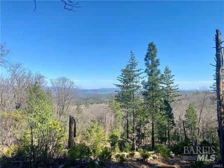 10130 Seigler Springs North N Kelseyville CA 95451