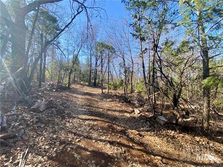 10130 Seigler Springs North N Kelseyville CA 95451