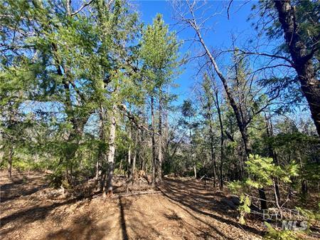 10130 Seigler Springs North N Kelseyville CA 95451