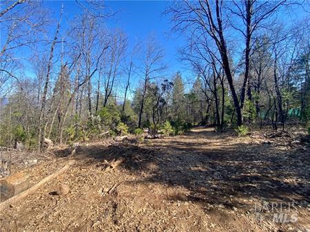 10130 Seigler Springs North N Kelseyville CA 95451