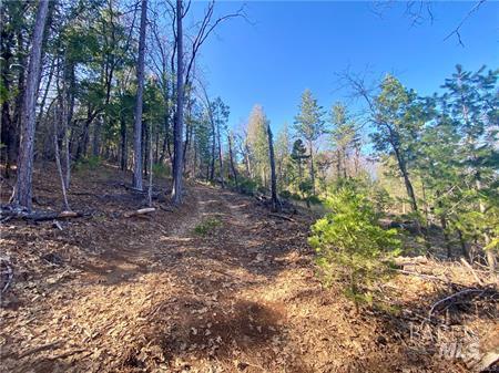 10130 Seigler Springs North N Kelseyville CA 95451