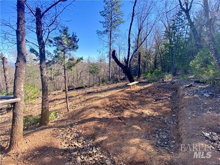 10130 Seigler Springs North N Kelseyville CA 95451