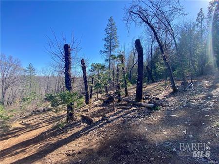 10130 Seigler Springs North N Kelseyville CA 95451