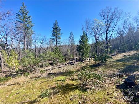 10130 Seigler Springs North N Kelseyville CA 95451