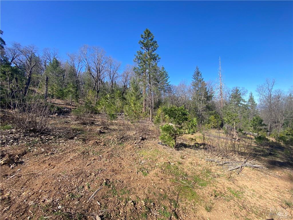 10130 Seigler Springs North N Kelseyville CA 95451