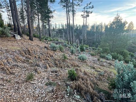 16790 Starview Loop Cobb CA 95426