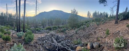 16790 Starview Loop Cobb CA 95426
