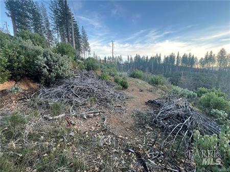 16790 Starview Loop Cobb CA 95426