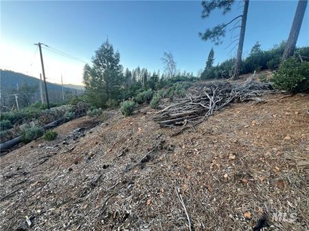 16790 Starview Loop Cobb CA 95426