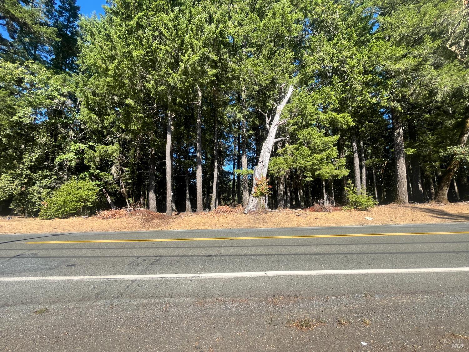 25201 Sherwood Road Willits CA 95490