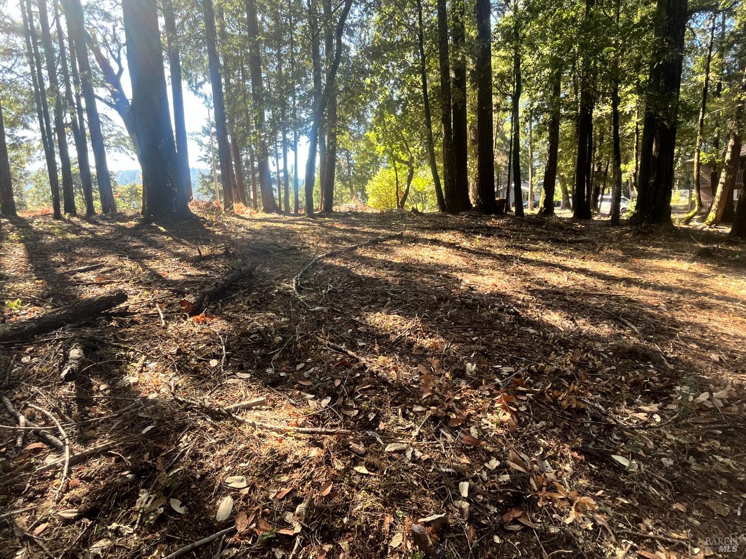 25201 Sherwood Road Willits CA 95490
