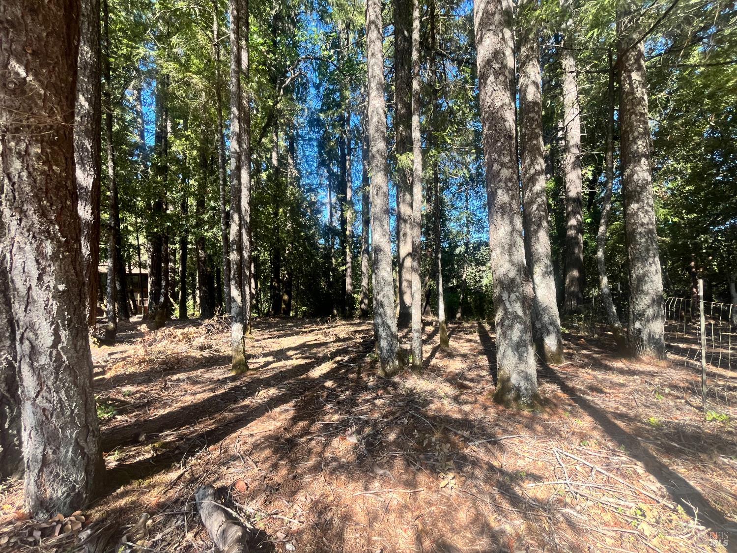 25201 Sherwood Road Willits CA 95490
