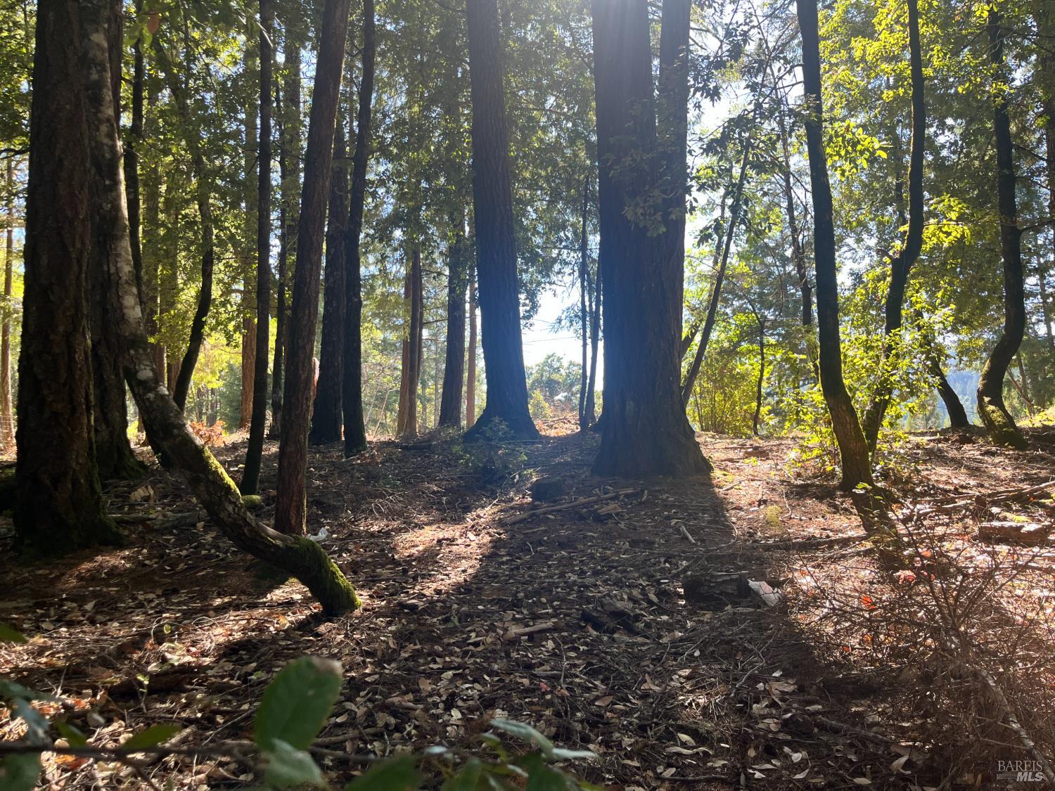 25201 Sherwood Road Willits CA 95490