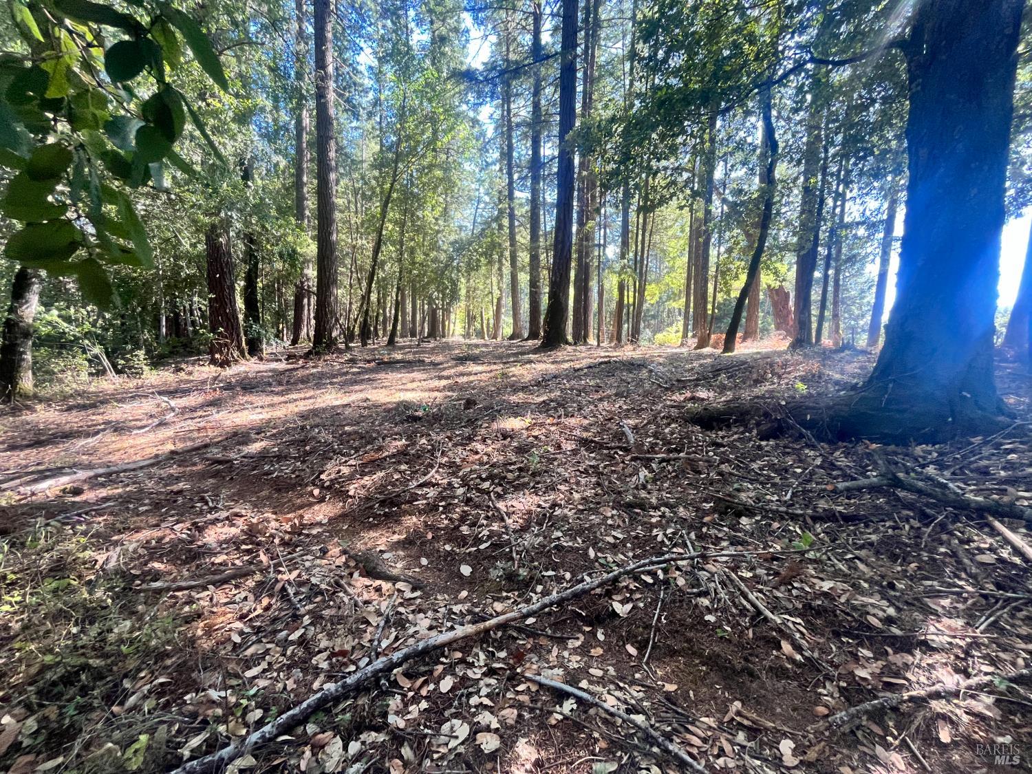 25201 Sherwood Road Willits CA 95490