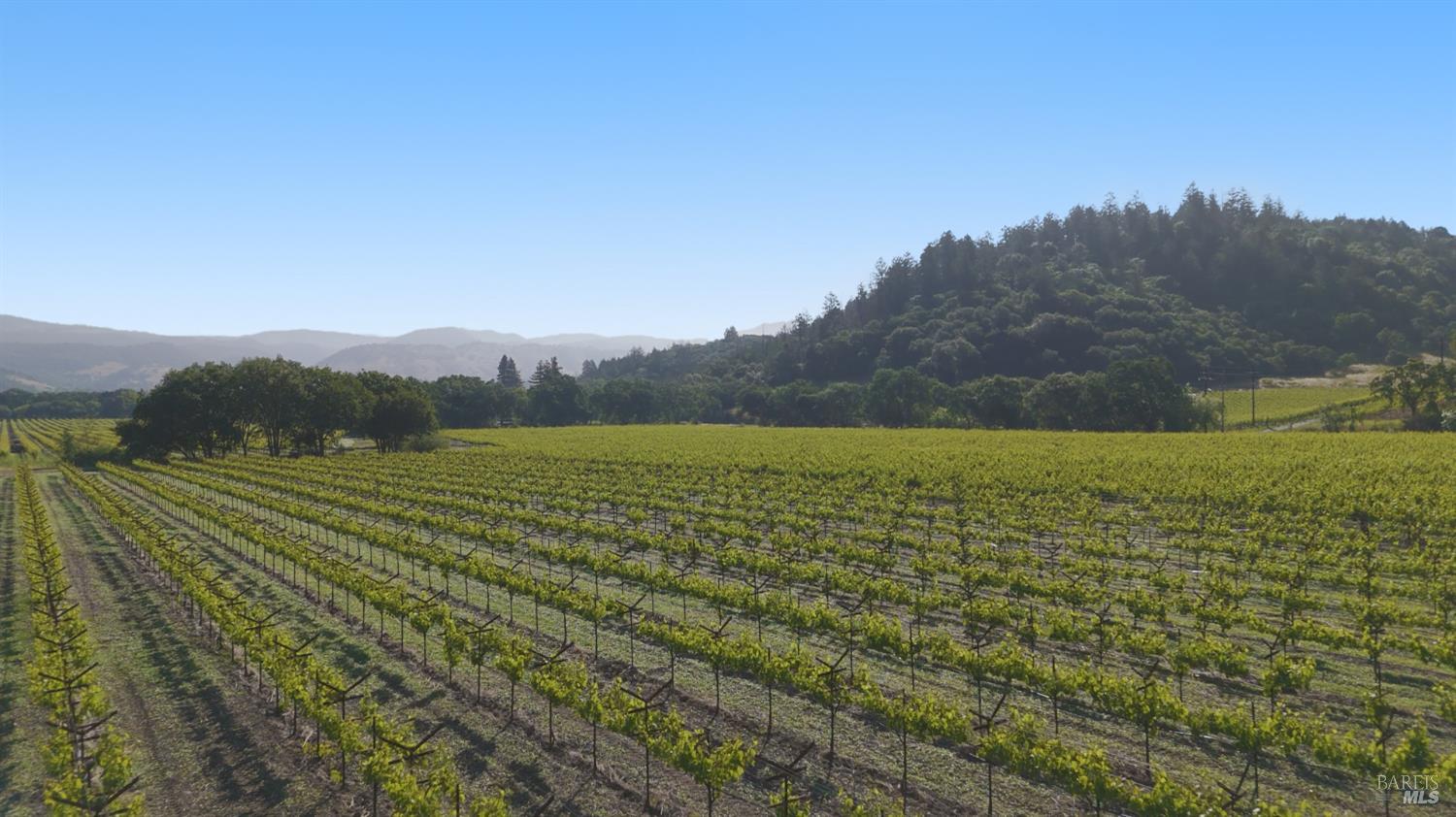 1300 Yount Mill Road Napa CA 94558