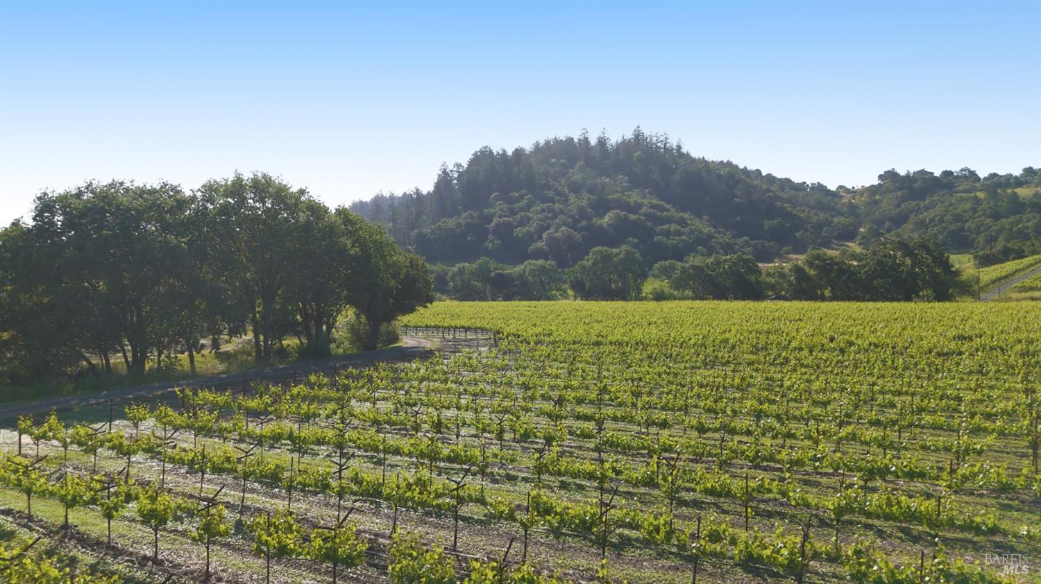 1300 Yount Mill Road Napa CA 94558