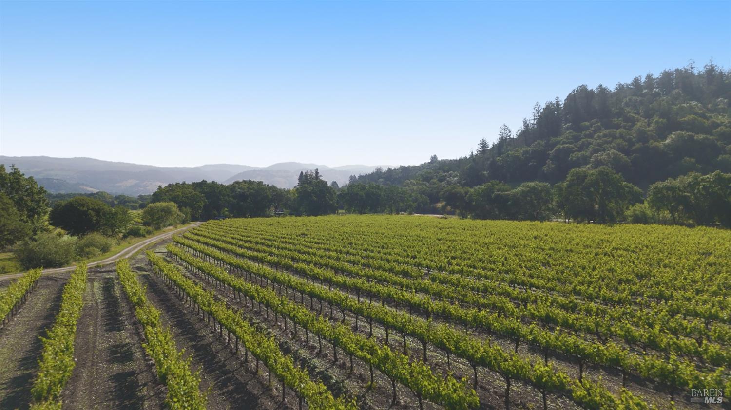 1300 Yount Mill Road Napa CA 94558