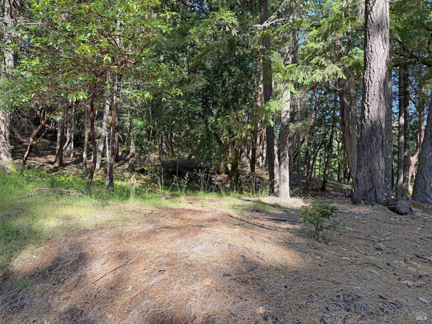 1666 Alcott Place Willits CA 95490