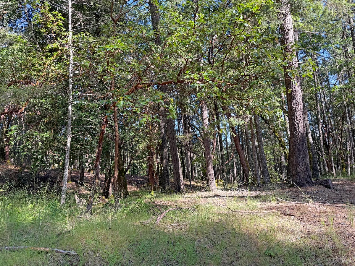 1666 Alcott Place Willits CA 95490