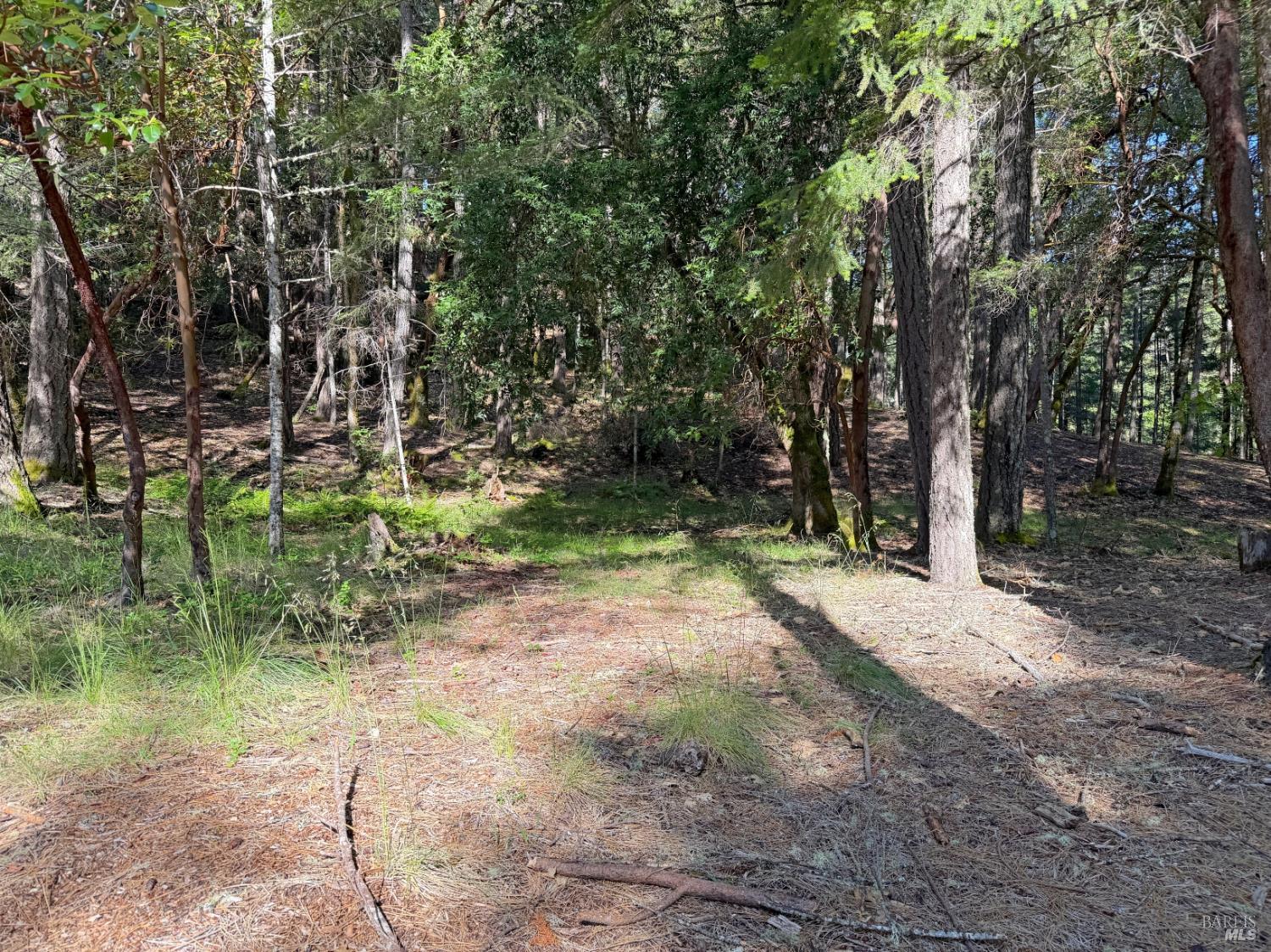 1666 Alcott Place Willits CA 95490