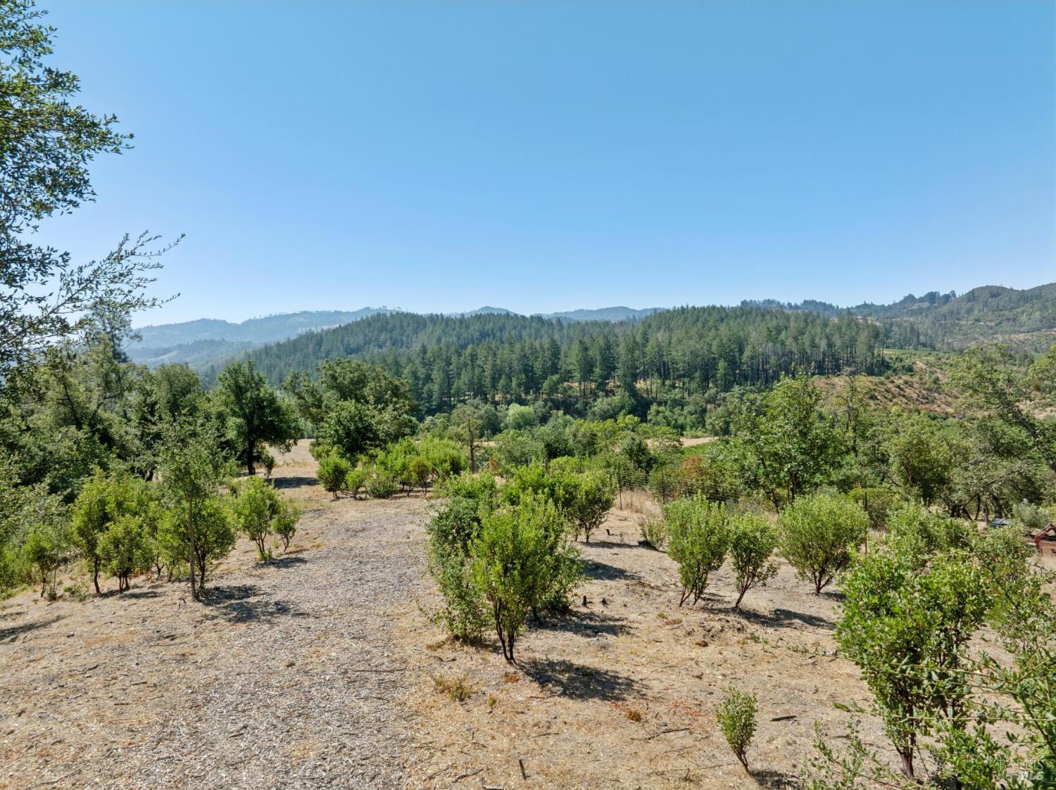 1128 Bennett Lane Calistoga CA 94515