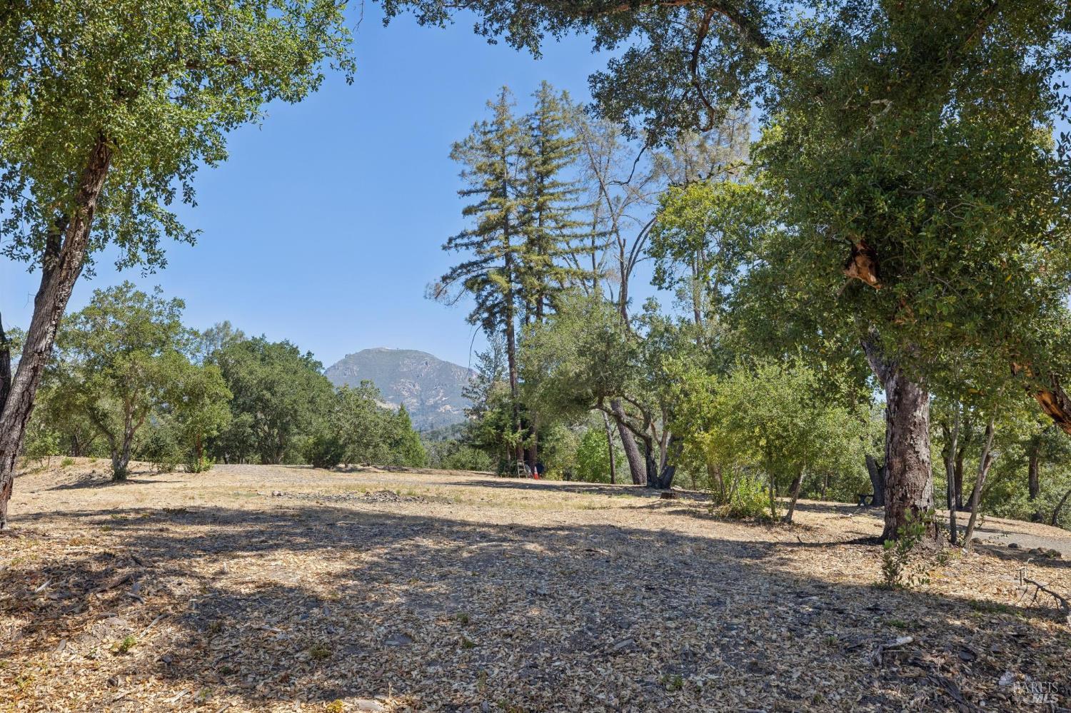 1128 Bennett Lane Calistoga CA 94515