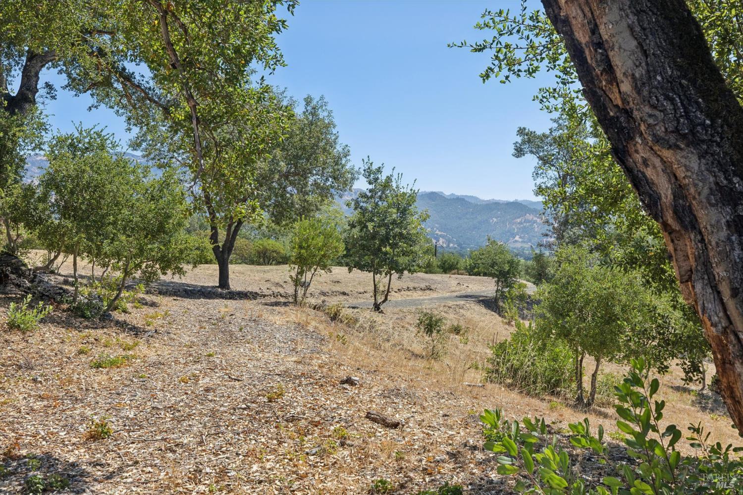 1128 Bennett Lane Calistoga CA 94515