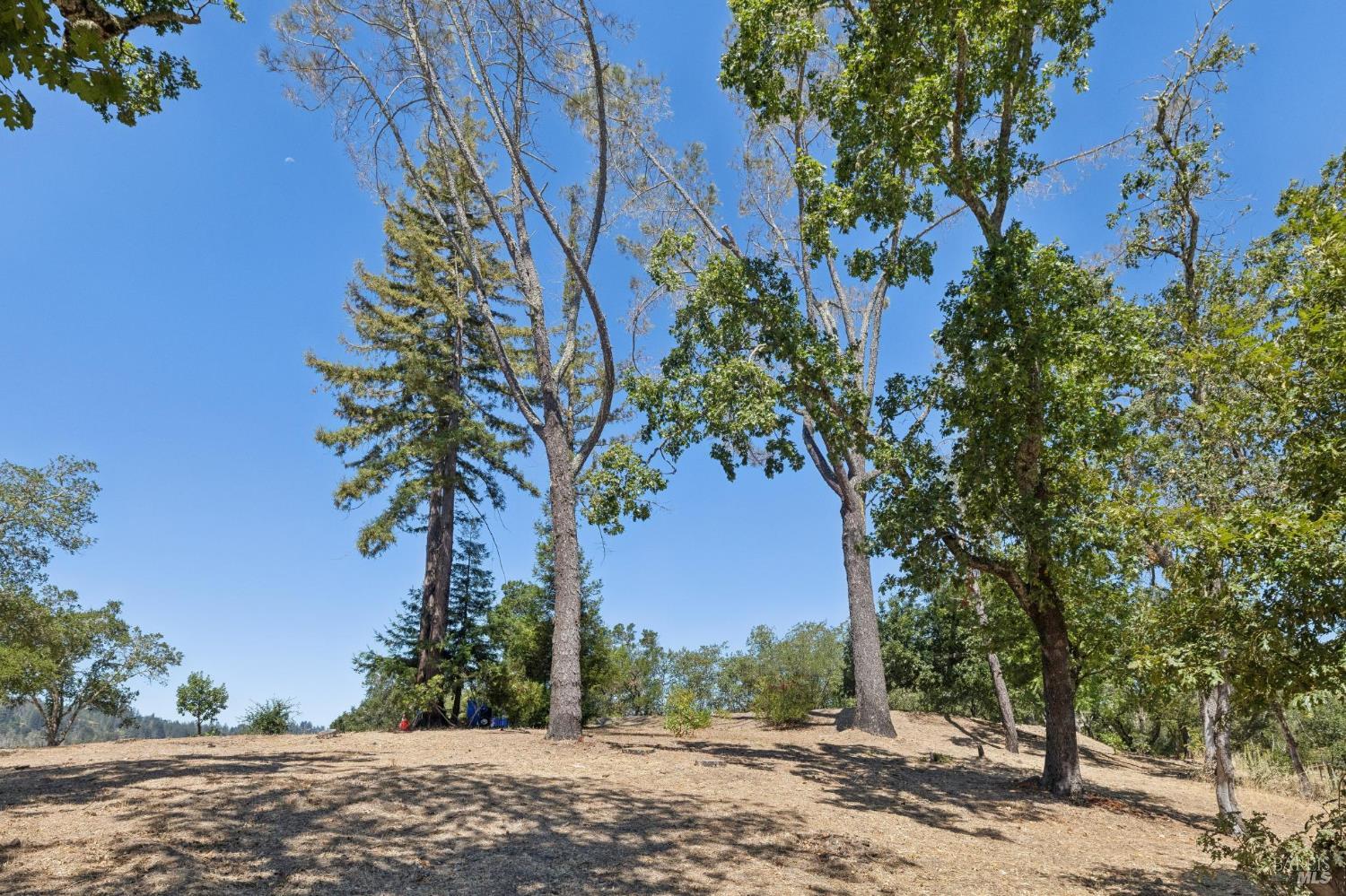1128 Bennett Lane Calistoga CA 94515