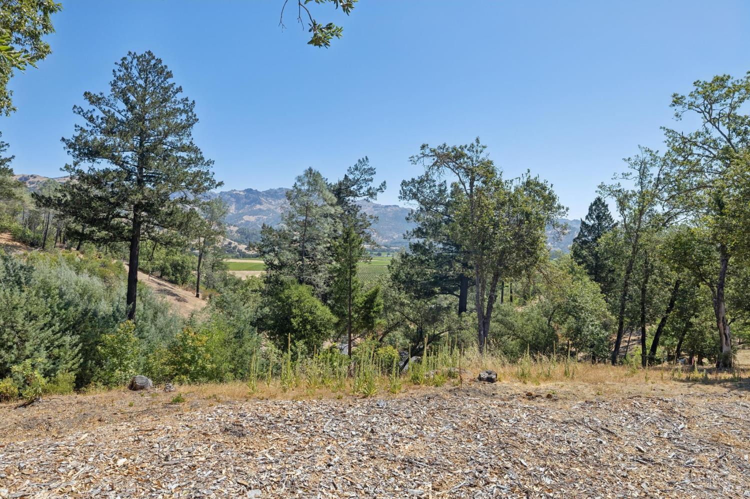 1128 Bennett Lane Calistoga CA 94515