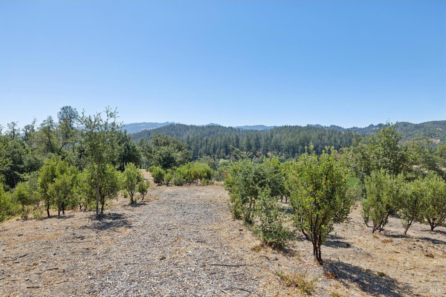 1128 Bennett Lane Calistoga CA 94515