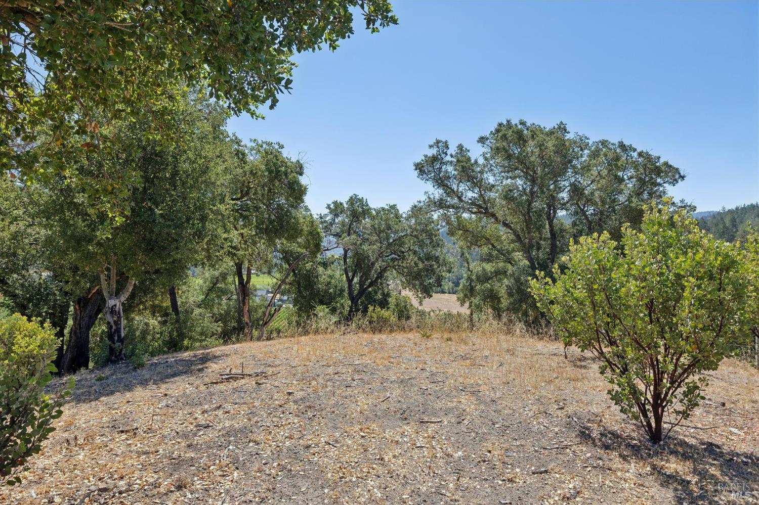 1128 Bennett Lane Calistoga CA 94515