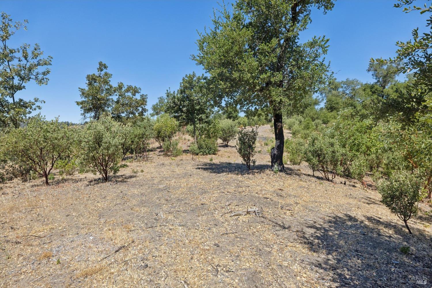 1128 Bennett Lane Calistoga CA 94515